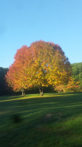 Golf Club «Rolling Greens Golf Club», reviews and photos, 600 Cold Spring Rd, Rocky Hill, CT 06067, USA