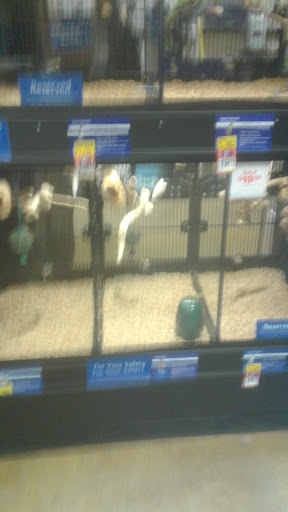 Pet Supply Store «PetSmart», reviews and photos, 4900 Rogers Ave #102a, Fort Smith, AR 72903, USA