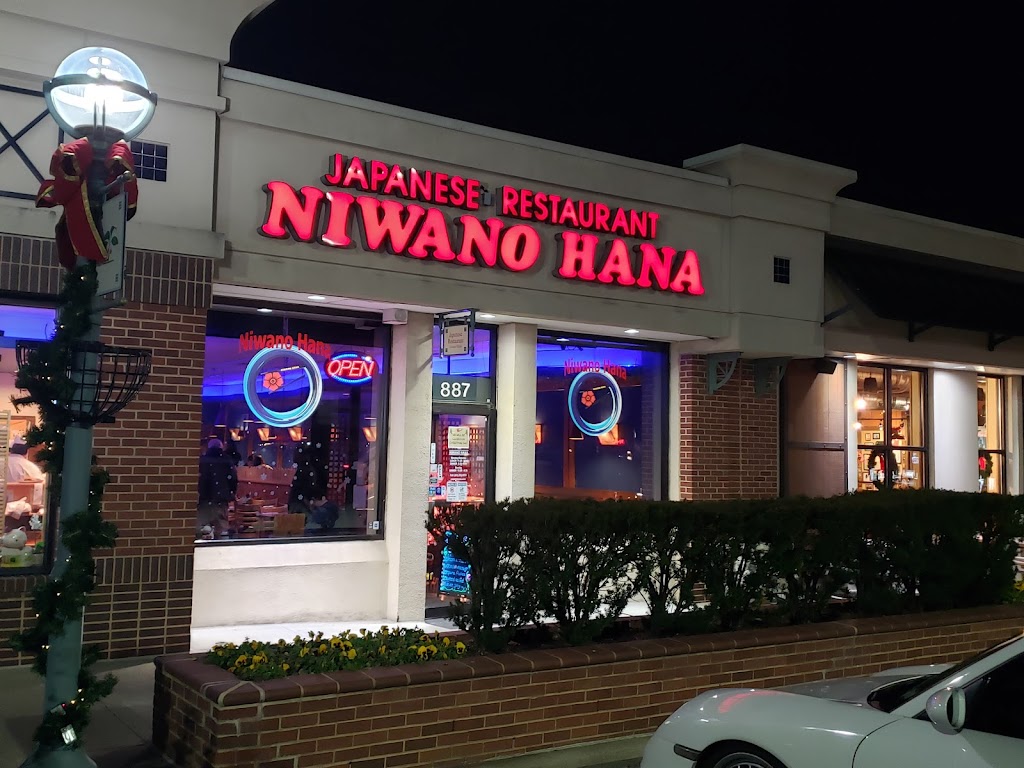Niwano Hana 20852