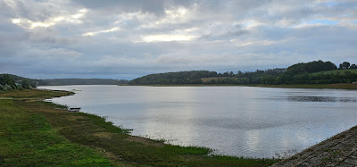 Lieu de pêche de la Liez à Châtenay-Mâcheron