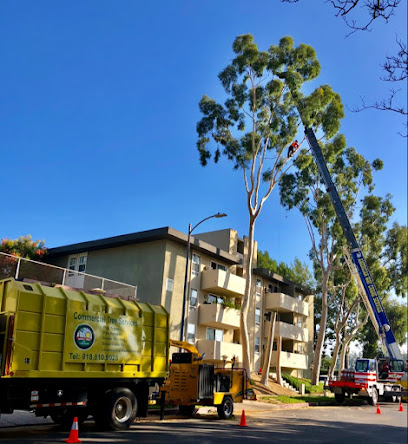 COMMERCIAL TREE SERVICES INC.