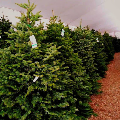 Buckelew Christmas Trees