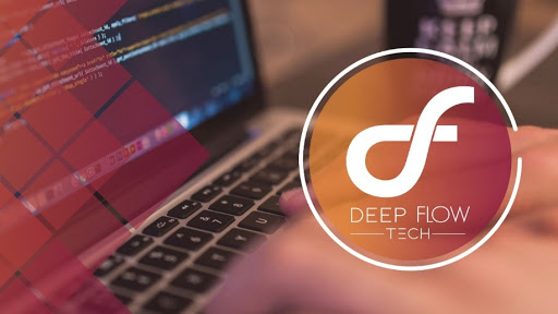 Logo da empresa - DeepFlow Technology