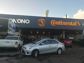 Pionono Temuco