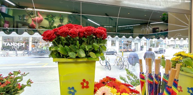 In Montchoisi Flowers, Mariano Di Mento - Blumengeschäft