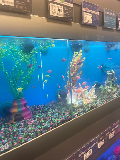 Pet Supply Store «Petco Animal Supplies», reviews and photos, 1945 W Palmetto St #250, Florence, SC 29501, USA