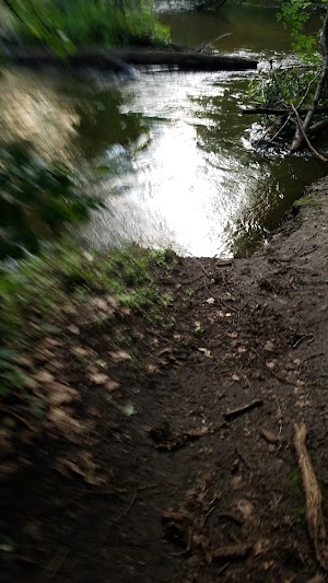 Locke County Park - photo 89
