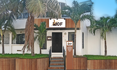 Kof-Experts. Sn Dakar