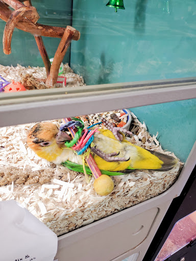 Pet Store «Pet World - Auburndale», reviews and photos, 3637 Havendale Blvd, Auburndale, FL 33823, USA