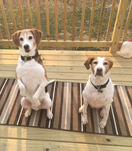 263 NJ-31, Washington, NJ 07882, USA