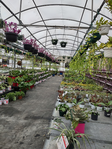 Plant Nursery «Blooming Acres», reviews and photos, 7561 State Rd, Wadsworth, OH 44281, USA