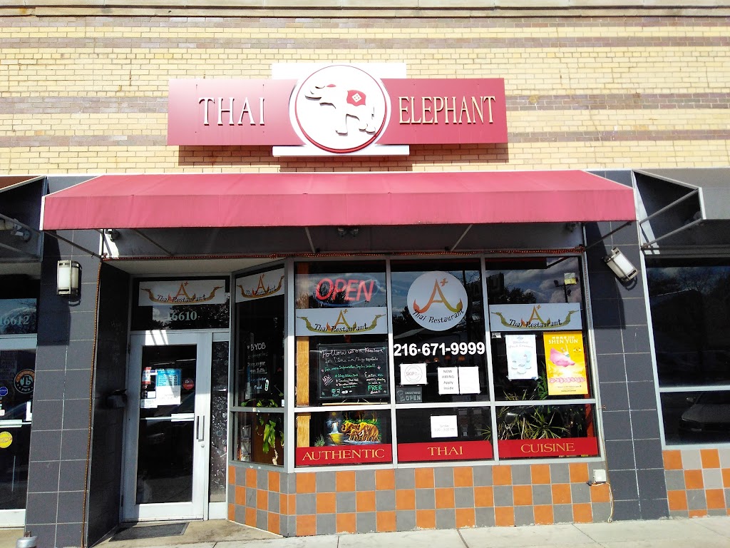 Thai Elephant Restaurant 44111