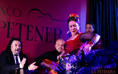 Tablao Flamenco la Petenera image