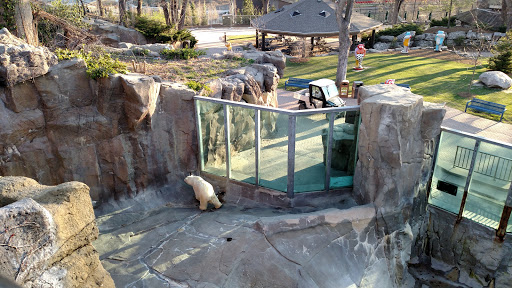 Zoo «Durhams Bear Canyon», reviews and photos, 3701 S 10th St, Omaha, NE 68107, USA