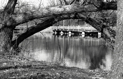 Park «Jester Park», reviews and photos, 11407 Northwest Jester Park Drive, Granger, IA 50109, USA