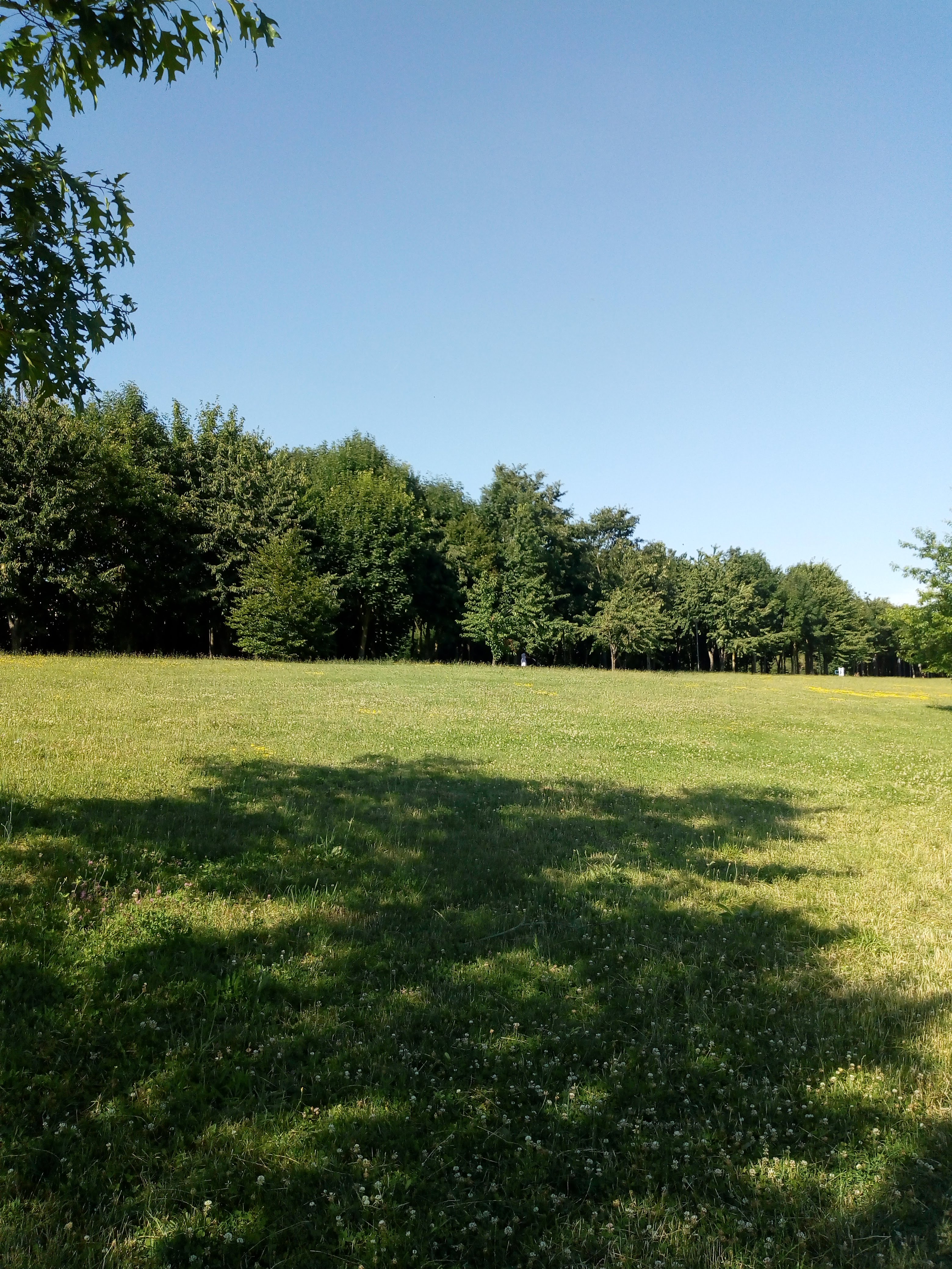 Photo n° 2 de l'avis de Joëlle. fait le 03/07/2019 à 18:00