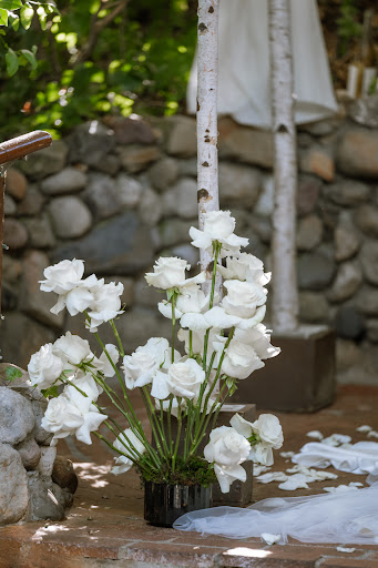The English Garden image