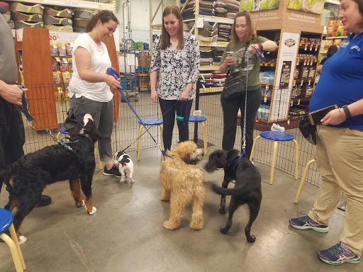 Pet Supply Store «PetSmart», reviews and photos, 1276 Bald Hill Rd, Warwick, RI 02886, USA