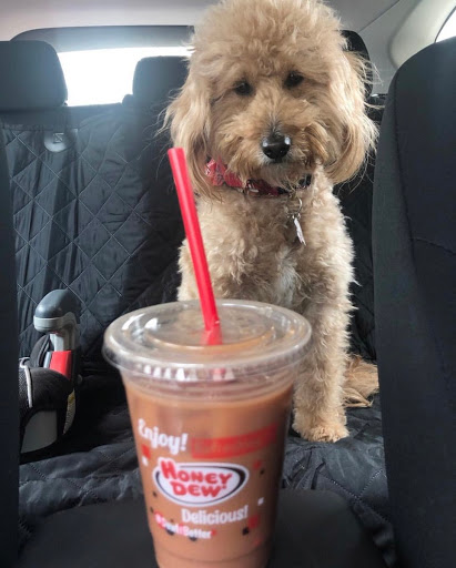 Donut Shop «Honey Dew Donuts», reviews and photos, 156 Andover St, Danvers, MA 01923, USA