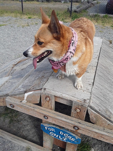 Pet Supply Store «Petco Animal Supplies», reviews and photos, 7215 170th Ave NE #115, Redmond, WA 98052, USA