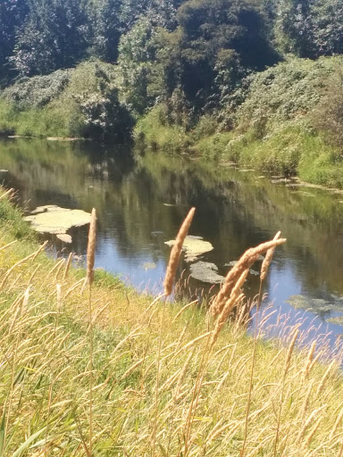 Golf Course «Willows Run Golf Complex», reviews and photos, 10402 Willows Rd, Redmond, WA 98052, USA