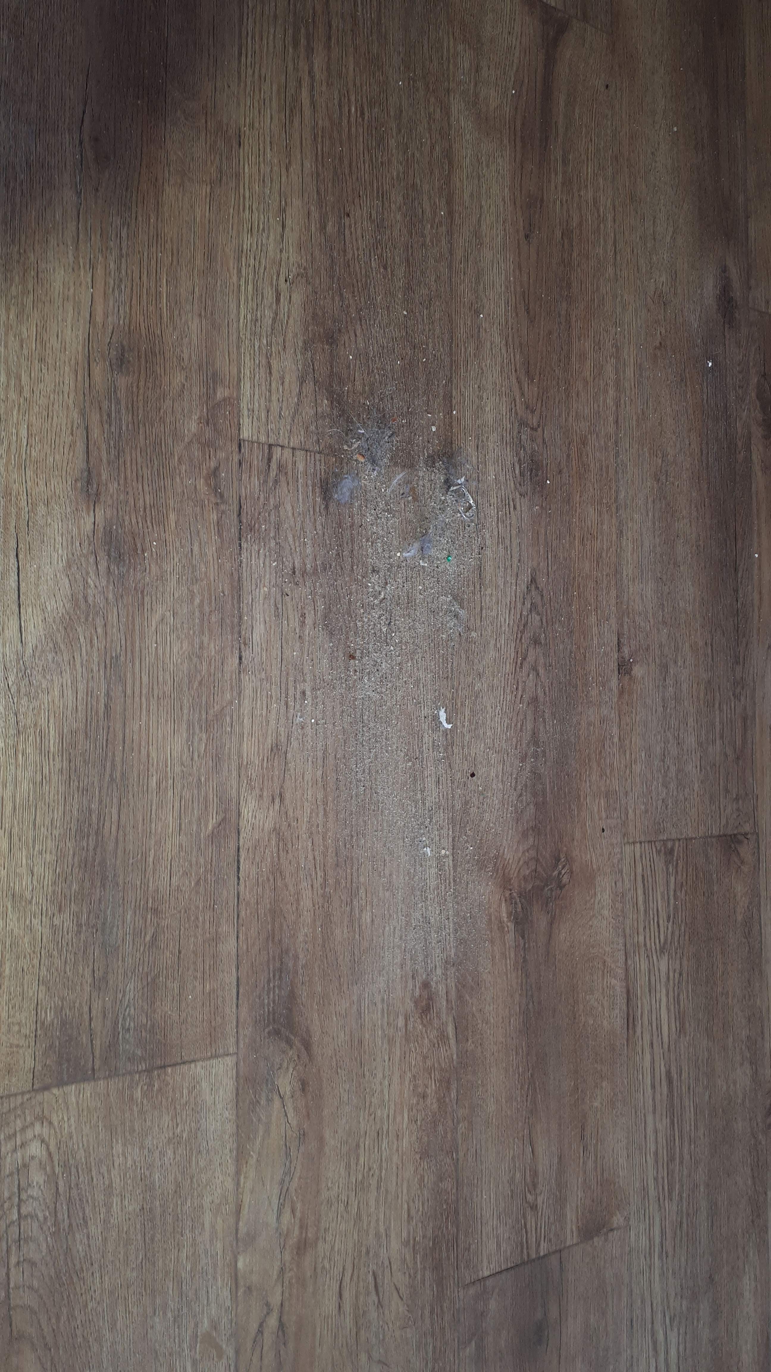 Photo n° 7 de l'avis de Olaf.e fait le 06/08/2019 à 10:39