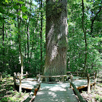 Photo n°3 de l'avis de Sabine.a fait le 05/06/2023 à 07:48 sur le  Hotel Pension Bad Langensalza Eichenhof à Bad Langensalza