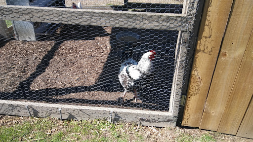 Wedding Venue «Rancho Alegre Farm», reviews and photos, 2225 Givens Rd, Dacula, GA 30019, USA