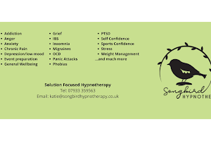 Songbird Hypnotherapy image