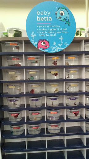 Pet Supply Store «Petco Animal Supplies», reviews and photos, 17200 Southcenter Pkwy #100, Tukwila, WA 98188, USA