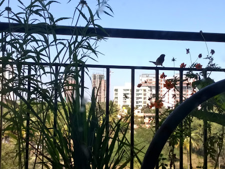 Google Maps image 28