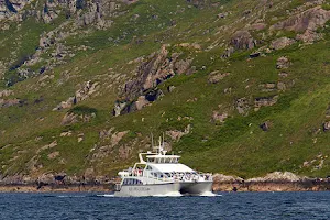 Killary Fjord Boat Tours image