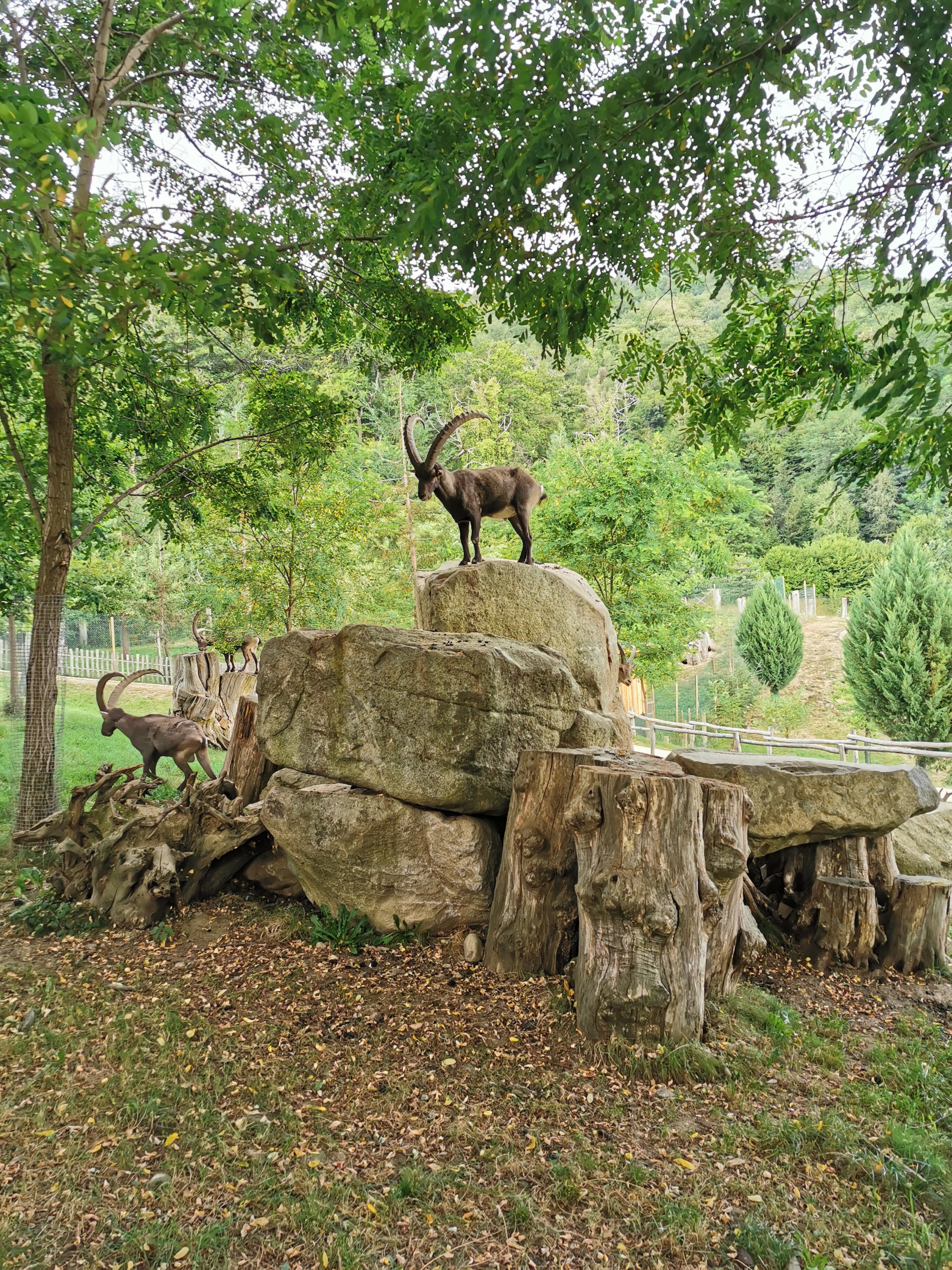 Photo n° 5 de l'avis de Axantiu. fait le 14/03/2021 à 10:18