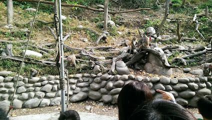 Guo Shushu macaques ecological zones