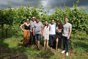 Martinborough Wine Tours image