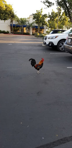 Gym «In-Shape Health Clubs», reviews and photos, 1360 Franklin Rd, Yuba City, CA 95993, USA