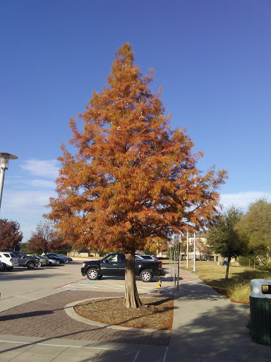 Recreation Center «Frisco Athletic Center», reviews and photos, 5828 Nancy Jane Ln, Frisco, TX 75035, USA