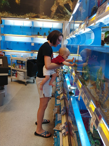 Pet Supply Store «PetSmart», reviews and photos, 6019 Wade Hampton Blvd, Taylors, SC 29687, USA