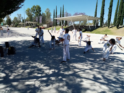 CAPOEIRA NGOLA AGUASCALIENTES