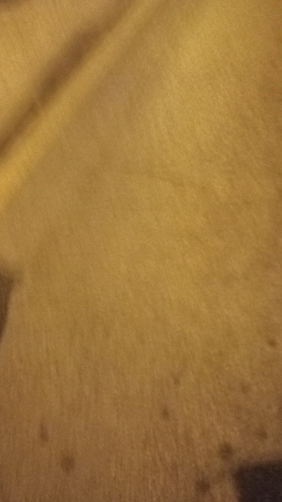 Photo n° 4 de l'avis de Thomas.e fait le 13/02/2024 à 21:08