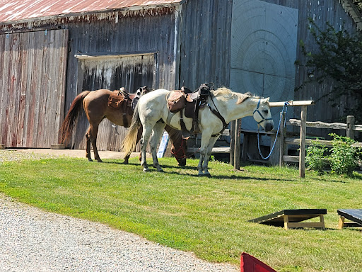 Cider Mill «Sutliff Cider Company», reviews and photos, 382 Sutliff Rd, Lisbon, IA 52253, USA