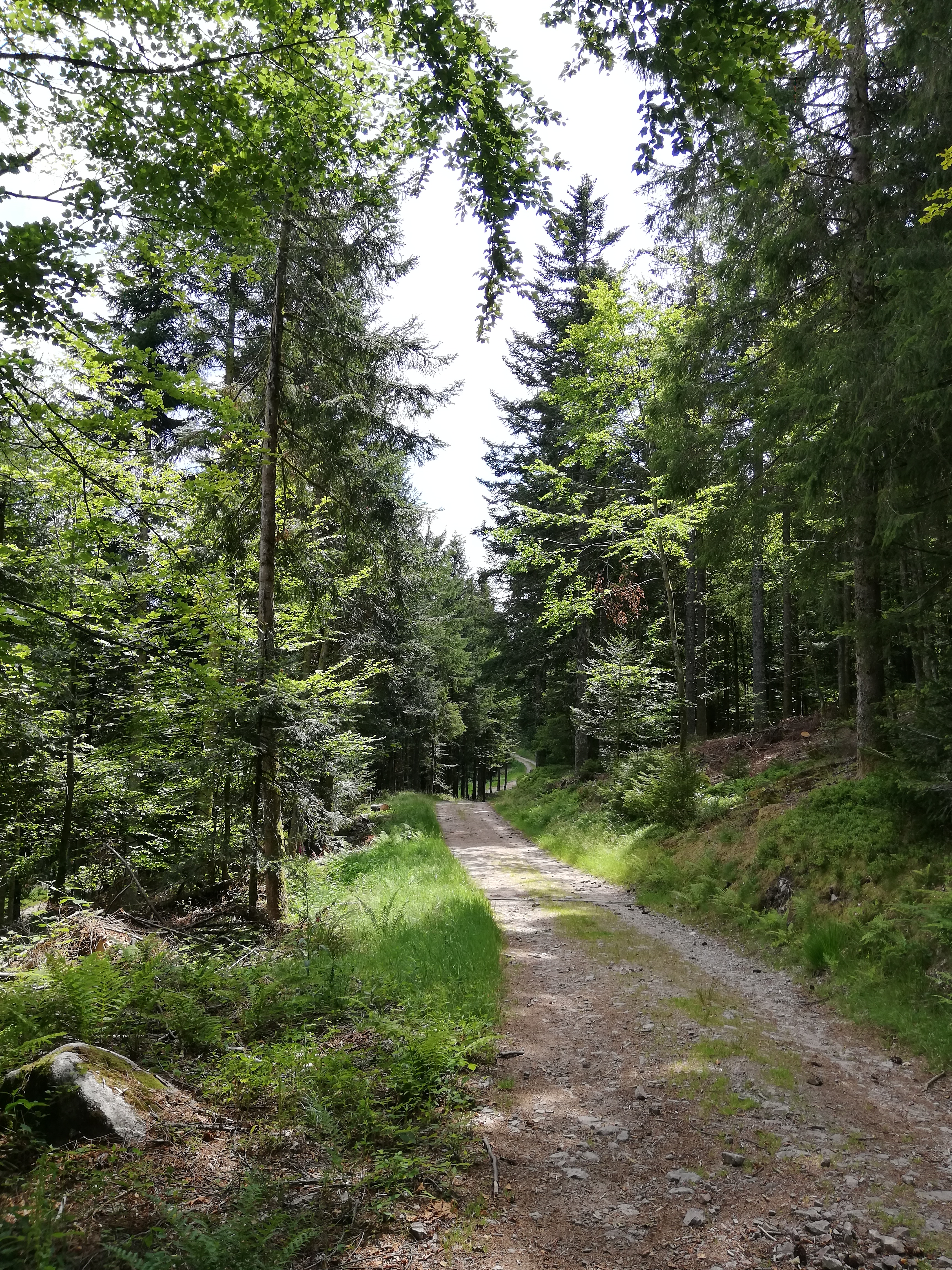Photo n° 1 de l'avis de Valerie.e fait le 14/07/2020 à 15:12