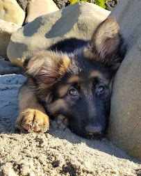 George - Photo 7 - Car repair in Santa Barbara, CA, Santa Barbara