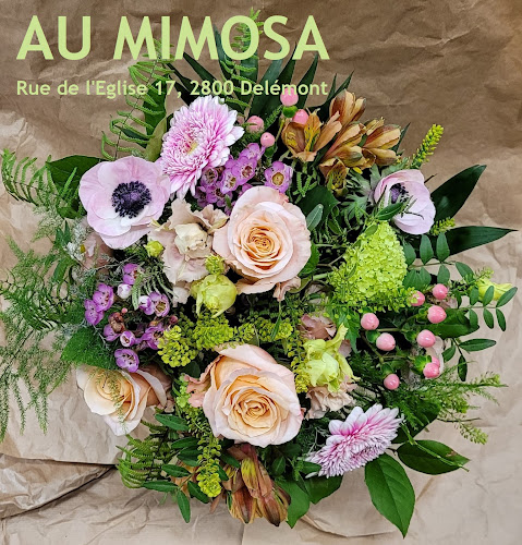 Au Mimosa Petra Werner Fiorenza - Blumengeschäft