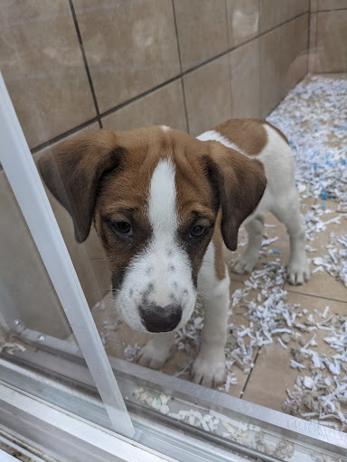 Pet Store «Pets Plus - Quakertown», reviews and photos, 117 S West End Blvd, Quakertown, PA 18951, USA