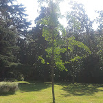 Photo n°4 de l'avis de Cristina.r fait le 27/07/2019 à 11:50 sur le  Hotel delle Terme à Monticelli Terme