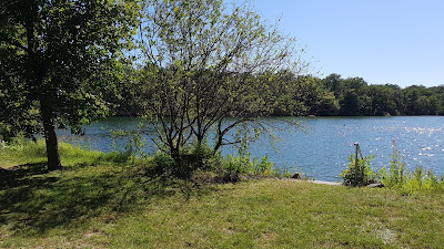 Étang de Mulhouse Plage à Richwiller