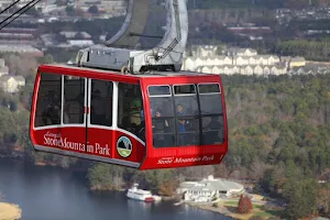 Roundabout Atlanta Tours & Transportation image