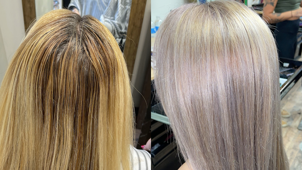 Elevated Hair Co. 15656