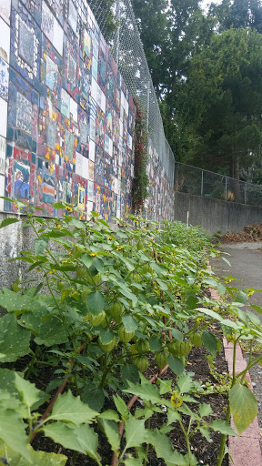 Community Center «MLK Fame Community Center», reviews and photos, 3201 E Republican St, Seattle, WA 98112, USA